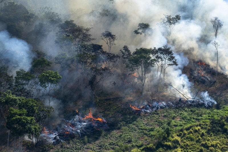 Desmatamento alertas janeiro Inpe