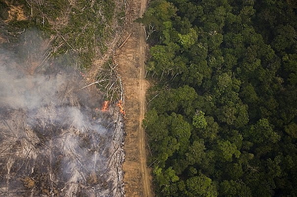 Queimadas aumentaram 30%