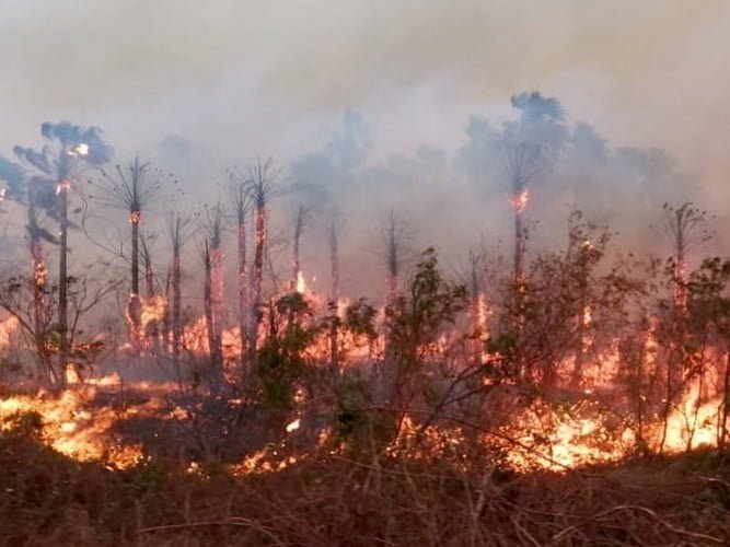 Atuação do MPF sobre queimadas é avaliada na Câmara Federal