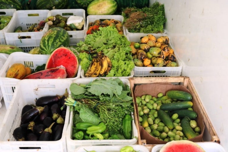 agricultores