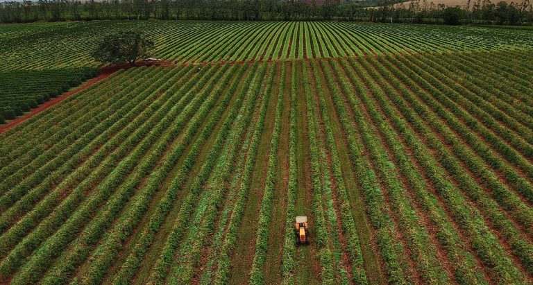 Lei cria fundos de investimentos agroindustriais