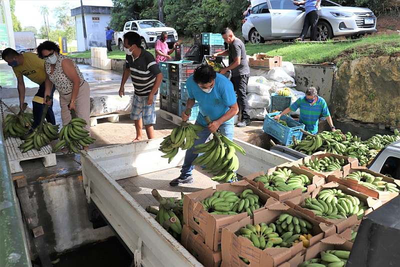 Alimentos chegaram a quatro municípios