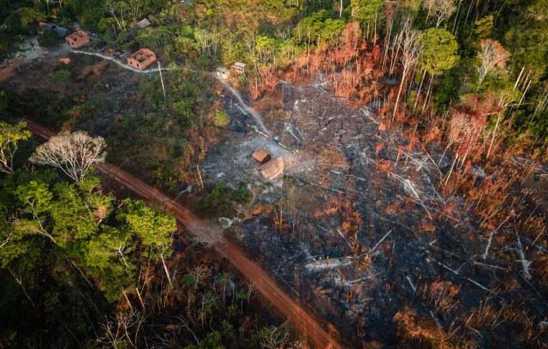 multa ambiental por queimadas na amazônia