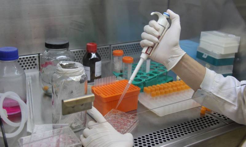 Fiocruz obtém patente para tratamento contra malária resistente