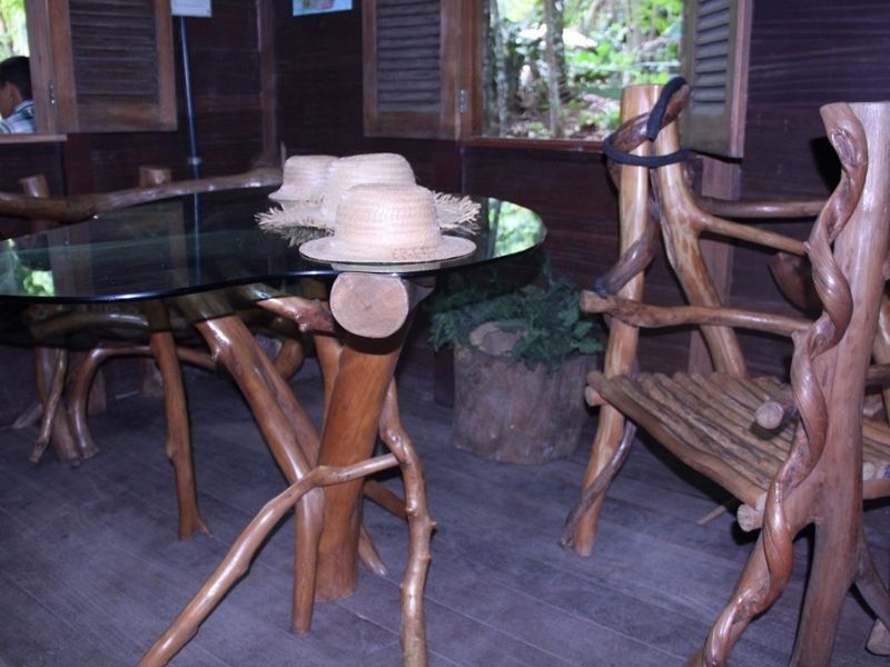 Amazônia sustentável