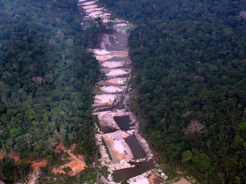 desmatamento Amazônia