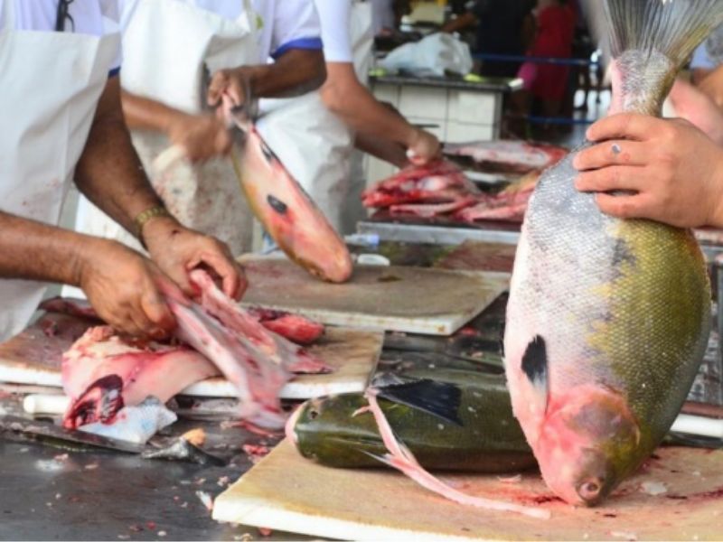 População teme consumir peixe e contrair doença