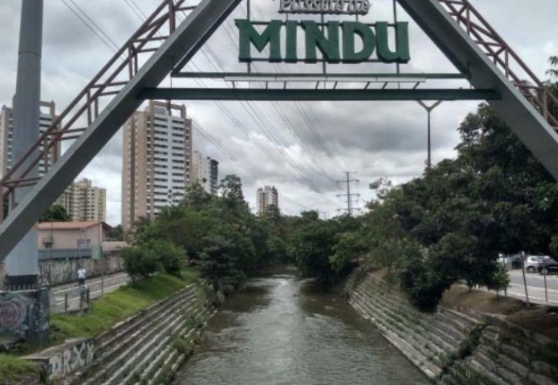 Manaus é cortada por igarapés que agora estão poluídos (Foto: José Coutinho\Ambientalista)