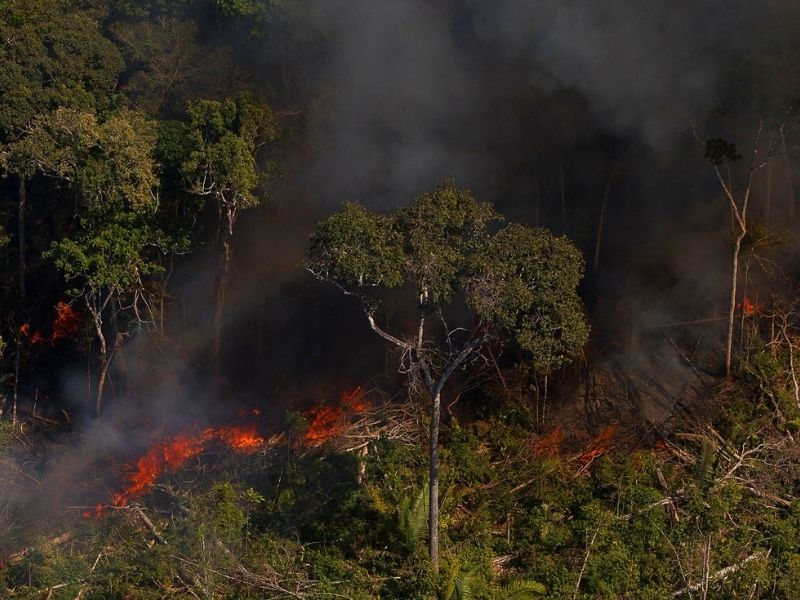 Desmatamento na Amazônia
