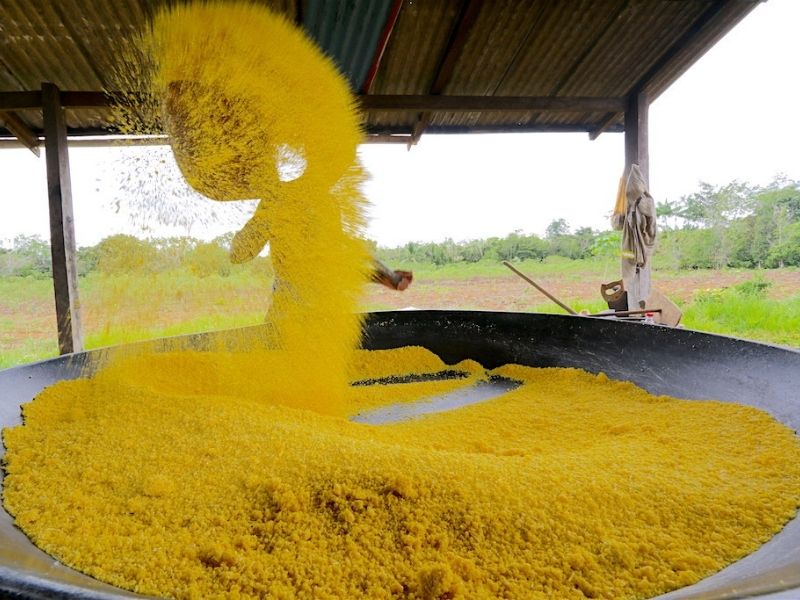 Farinha de Uarini - Amazonas - Farinha de mandioca