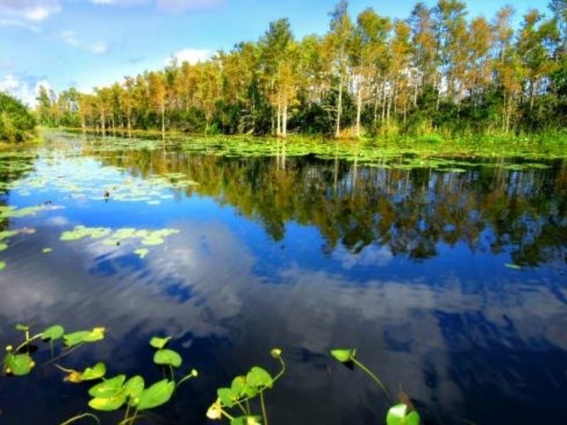 Fundo Amazônia bioeconomia parceria