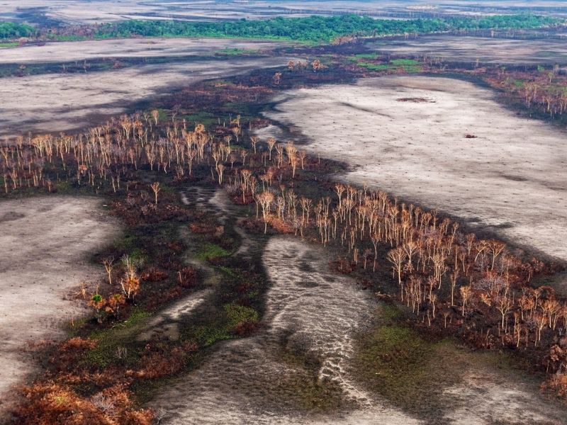 Desmatamento na Amazônia