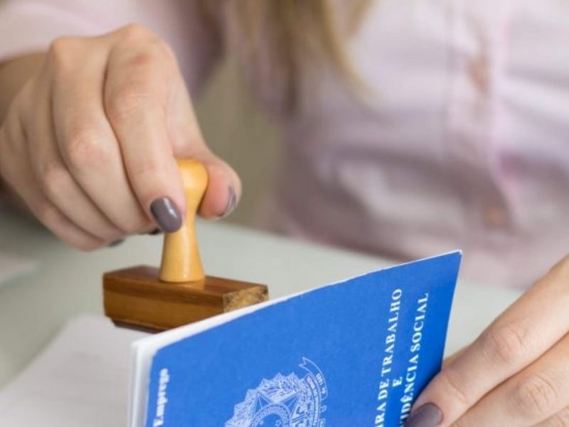 trabalhador empregado emprego