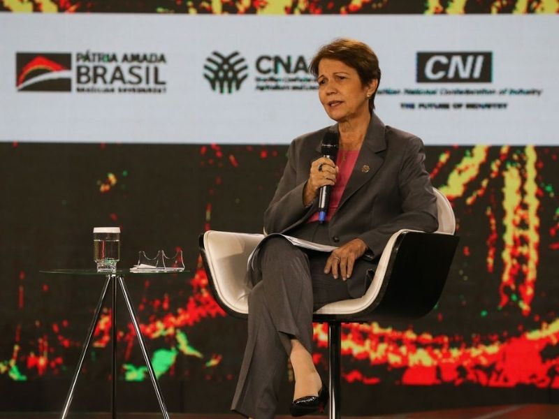 ministra da Agricultura, Pecuária e Abastecimento, Tereza Cristina (Foto: Antônio Cruz/Agência Brasil)