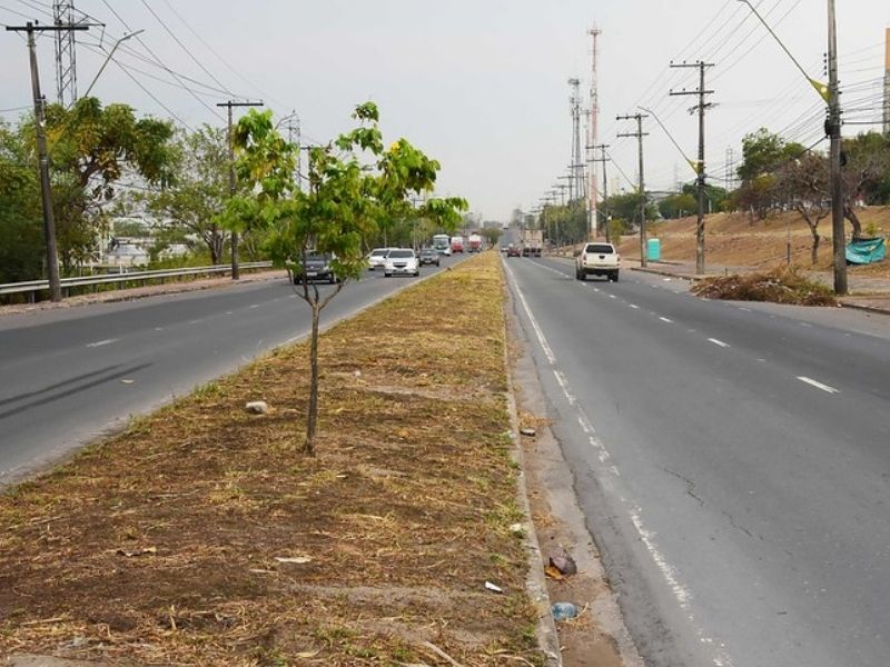 BR-319 vai ganhar parque de caminhões, segundo prefeitura de manaus