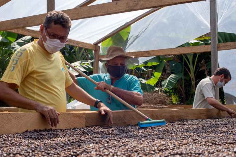 projeto guaraná Coca-Cola divulgação