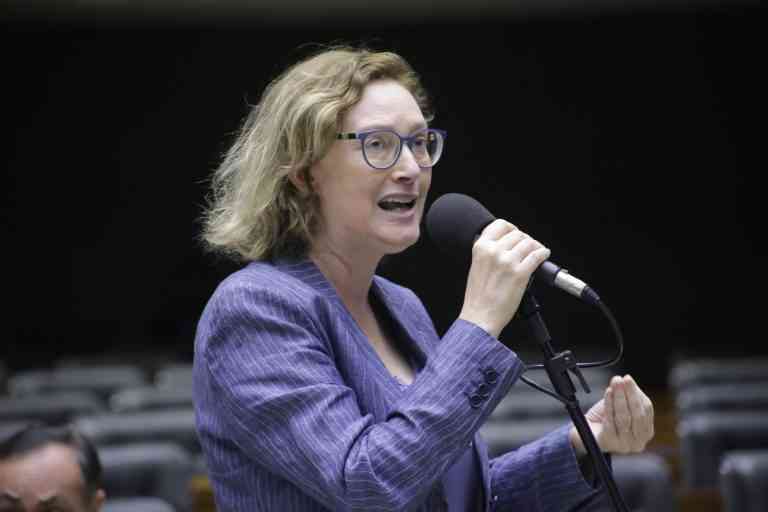 O PL é de autoria da deputada federal Maria do Rosário do PT do Rio Grande do Sul (Foto: Paulo Sérgio/Agência Câmara)