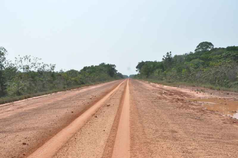 Concentração de novos ramais na BR-319 é maior no sul do Amazonas, informa Observatório com 11 entidades do meio ambiente (Foto: Divulgação/Observatório BR-139