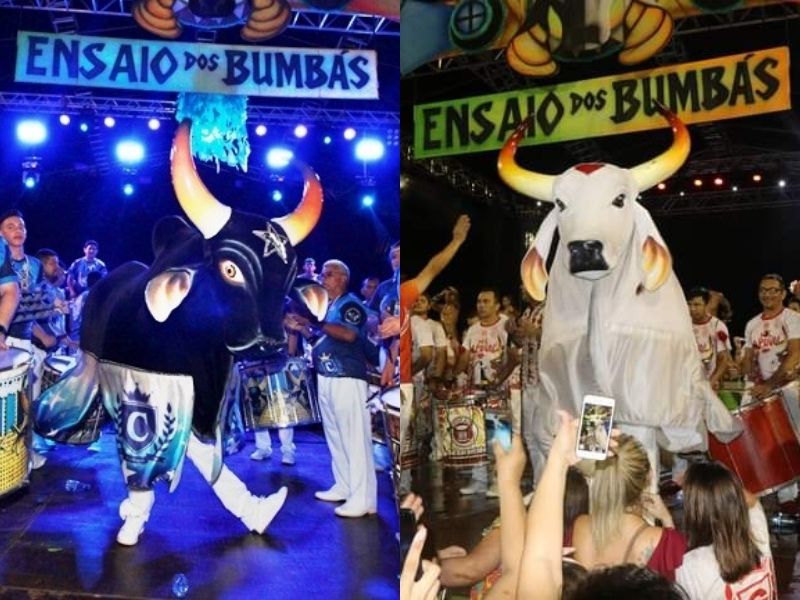 caprichoso e garantido