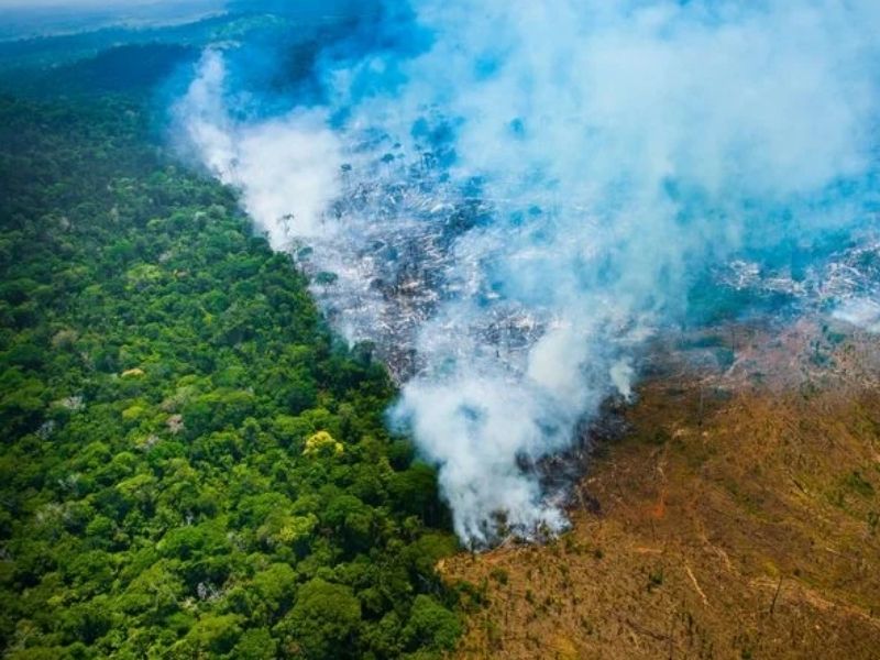 Desmatamento na Amazônia queimadas (Foto: Divulgação/Imazon)