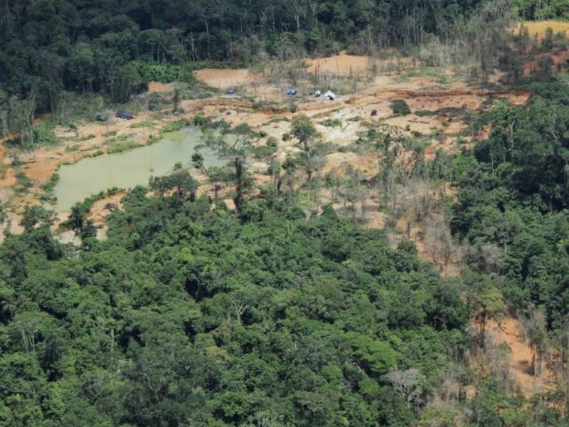 Yanomami