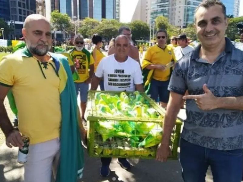 Pombos são pintados de verde e amarelo em evento pró-Bolsonaro em Vitória (Foto ReproduçãoInstagram)