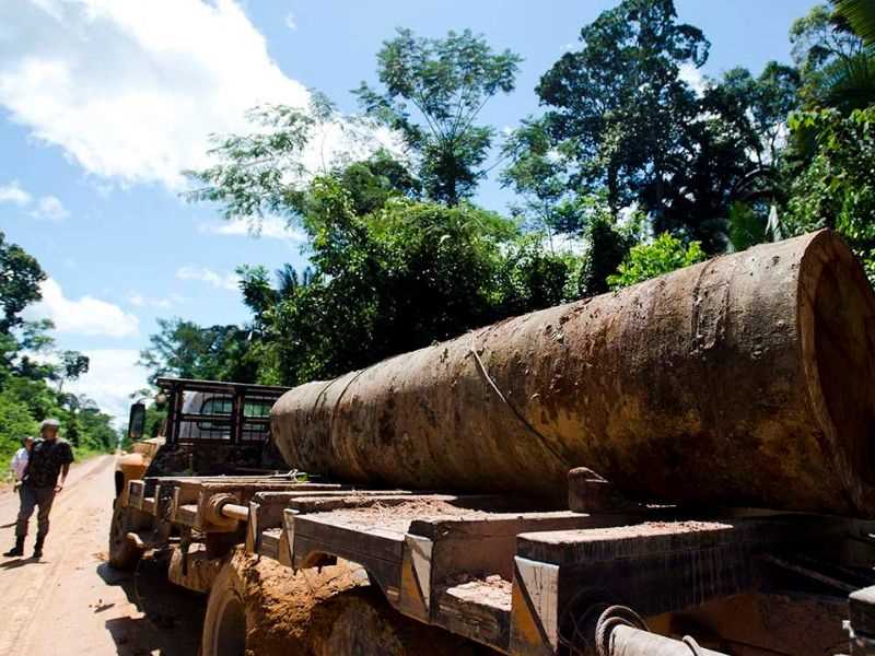 A pesquisa associa essa proposta ao desmantelamento das medidas de combate ao desmatamento na Amazônia (Foto: Marcelo Camargo/ABr)