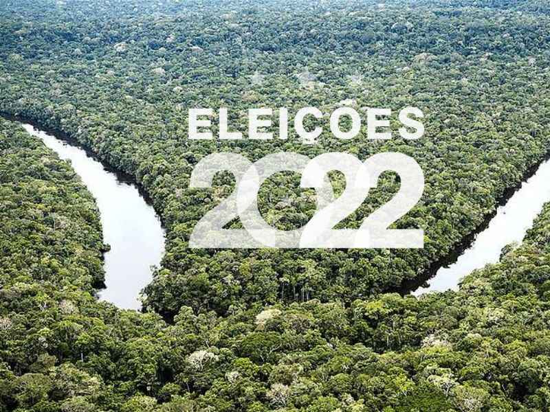 Além do guia, o Greenpeace tem em seu site uma página oficial sobre as eleições 2022 (Foto: Daniel Beltra/Greenpeace)