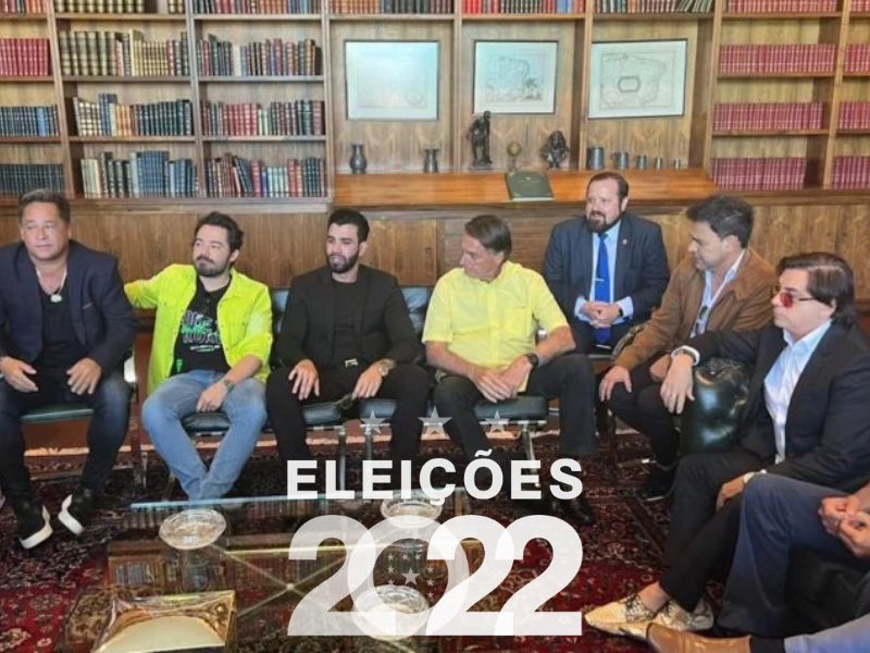 cantores sertanejos