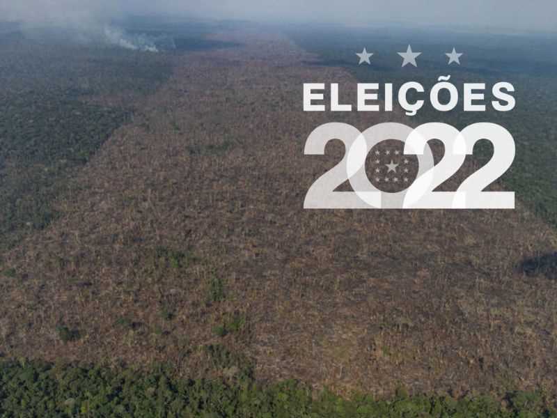 Entre as cidades que mais dematam, Lula ganhou em Lábrea e Boslsonaro em Apuí, no Amazonas (Foto: Vitor Moryama/Imazon)