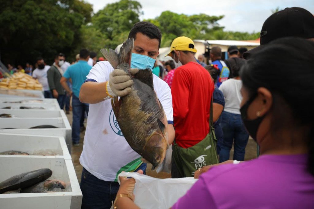 Tambaquis criados em viveiros