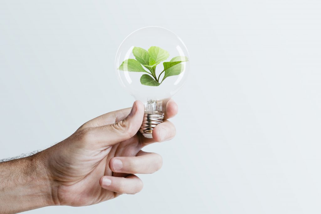 remix-de-midia-de-campanha-de-energia-sustentavel-segurando-arvore