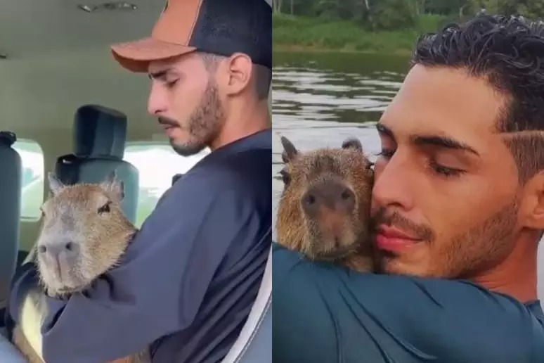 Capivara Filó Agenor