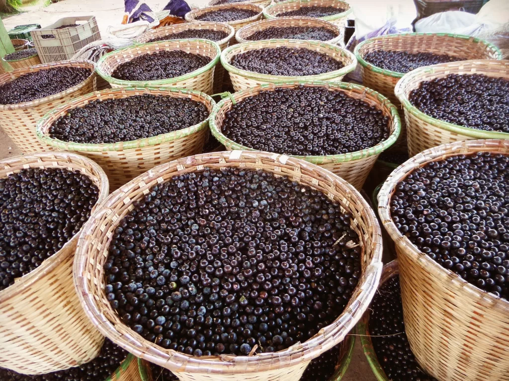 Paneiros_com_acai_no_porto_de_Igarape-Miri-scaled.jpg