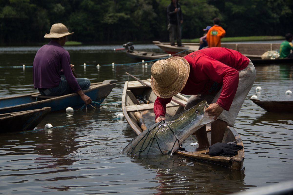 pescadorAmazonia (1)