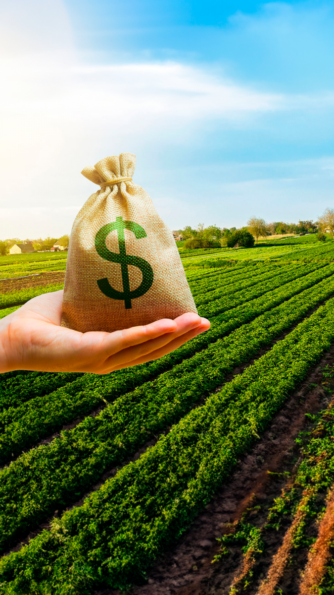 Agronomia AGRO