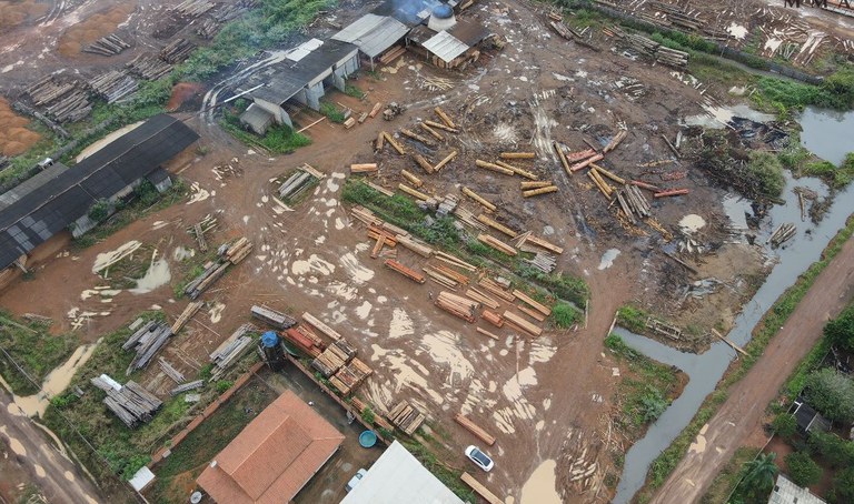Madeira ilegal apreendida em serraria de Rondônia