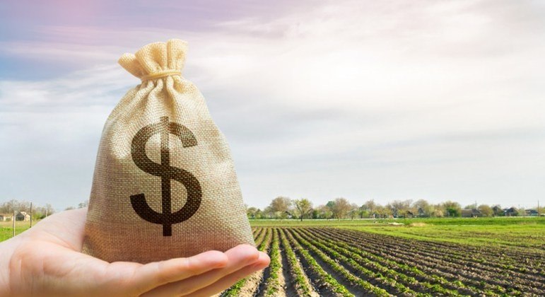 Os recursos vão apoiar a produção agropecuária nacional de médios e pequenos produtores rurais. (Foto/ Reprodução)