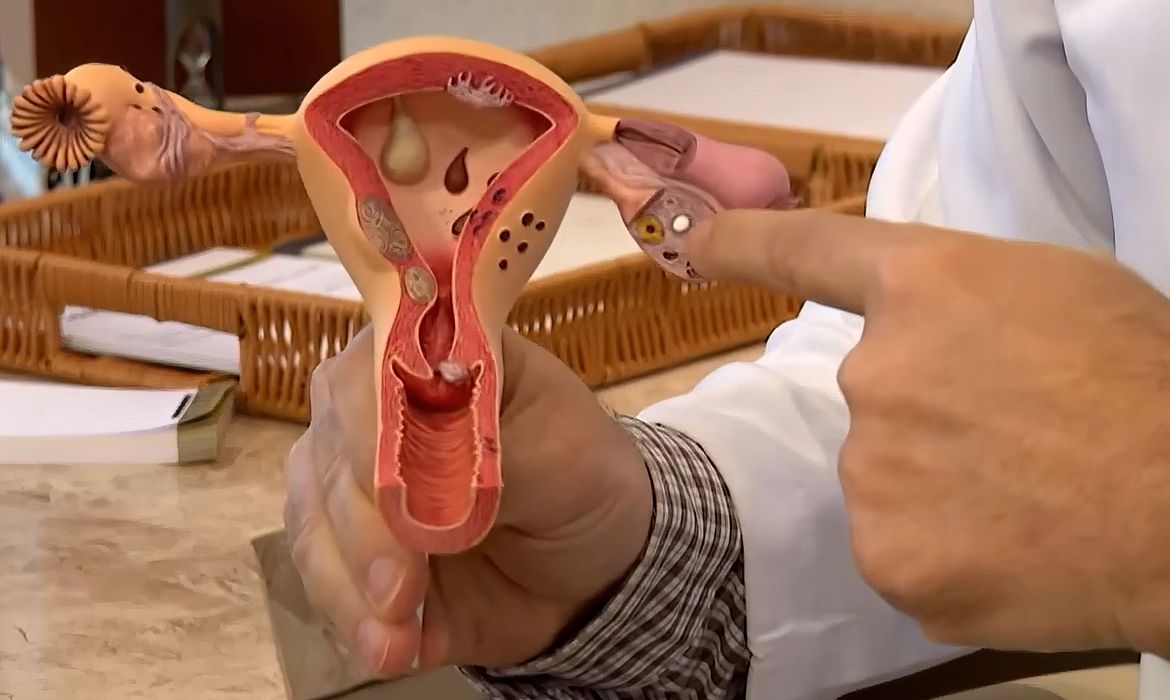 Peça simula um útero feminino