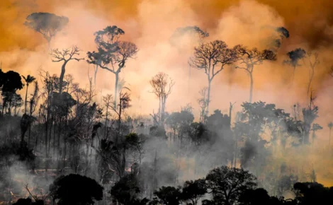 Queimadas na Amazônia