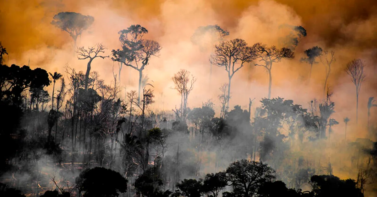 Queimadas na Amazônia