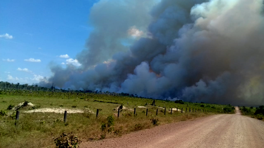 Queimada na floresta registrada no município de Apuí, no Sul do Amazonas