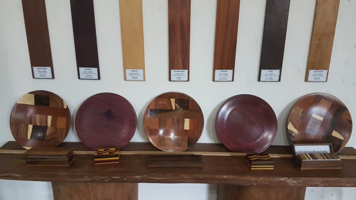 Pratos artesanais feitos em Madeiras por artesãos de Novo Airão