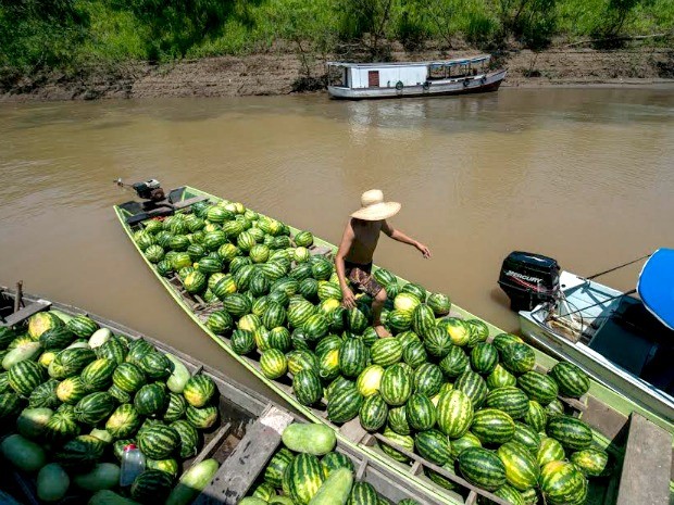 agricultura familiar no Amazonas