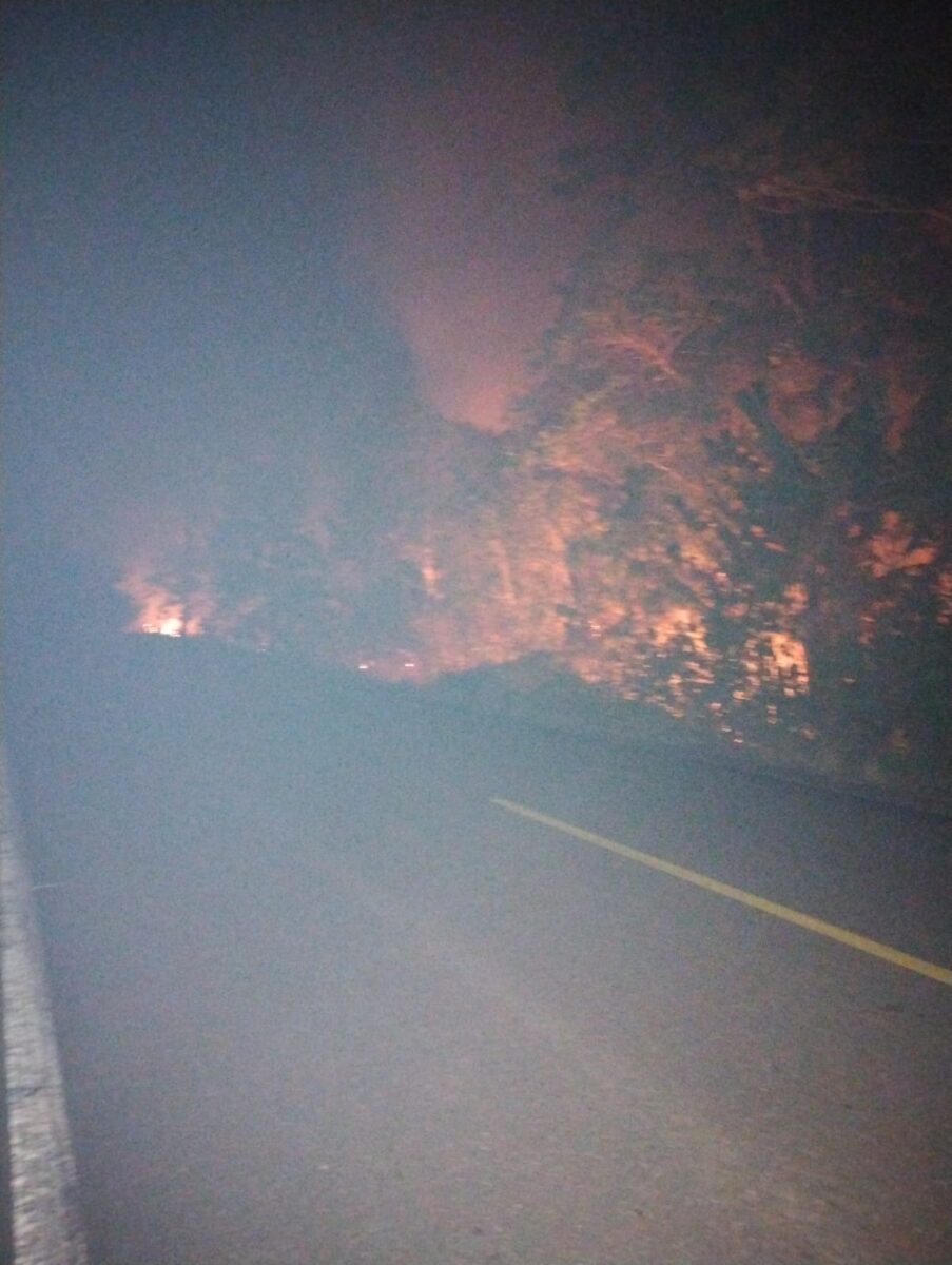 Incêndio florestal na estrada de Autazes