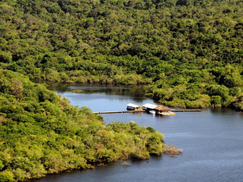 Amazonas