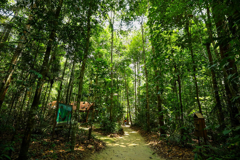 BID anuncia emissão de títulos a projetos na Amazônia