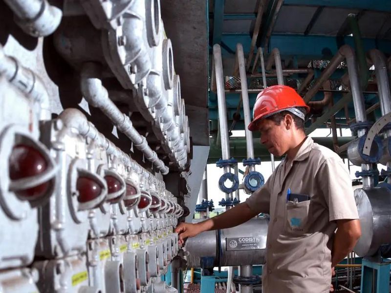 Impulsionada pelo setor automotivo, Produção industrial no Brasil cresce 3,1% em 2024 (Fonte: divulgação)