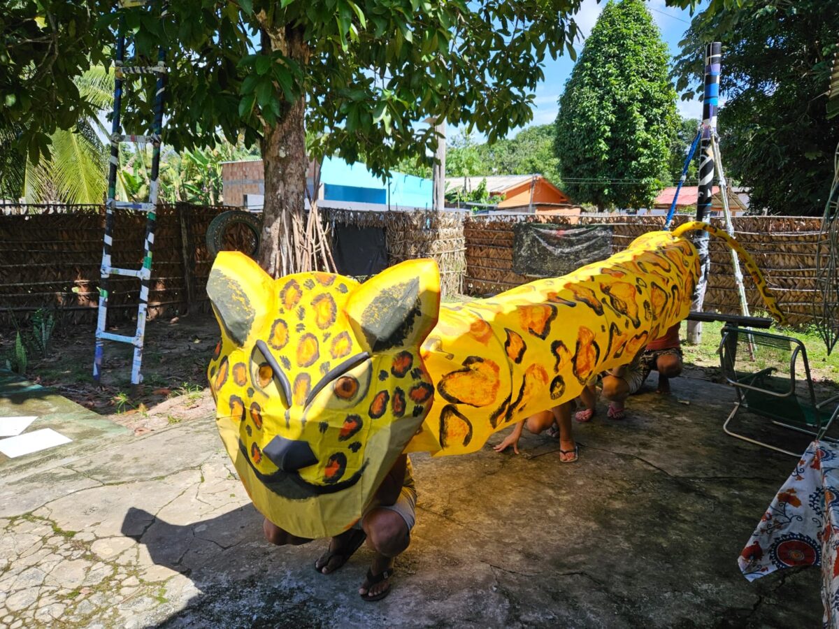 Carnaval em uma comunidade da Amazônia: Bloco Esturro da Onça