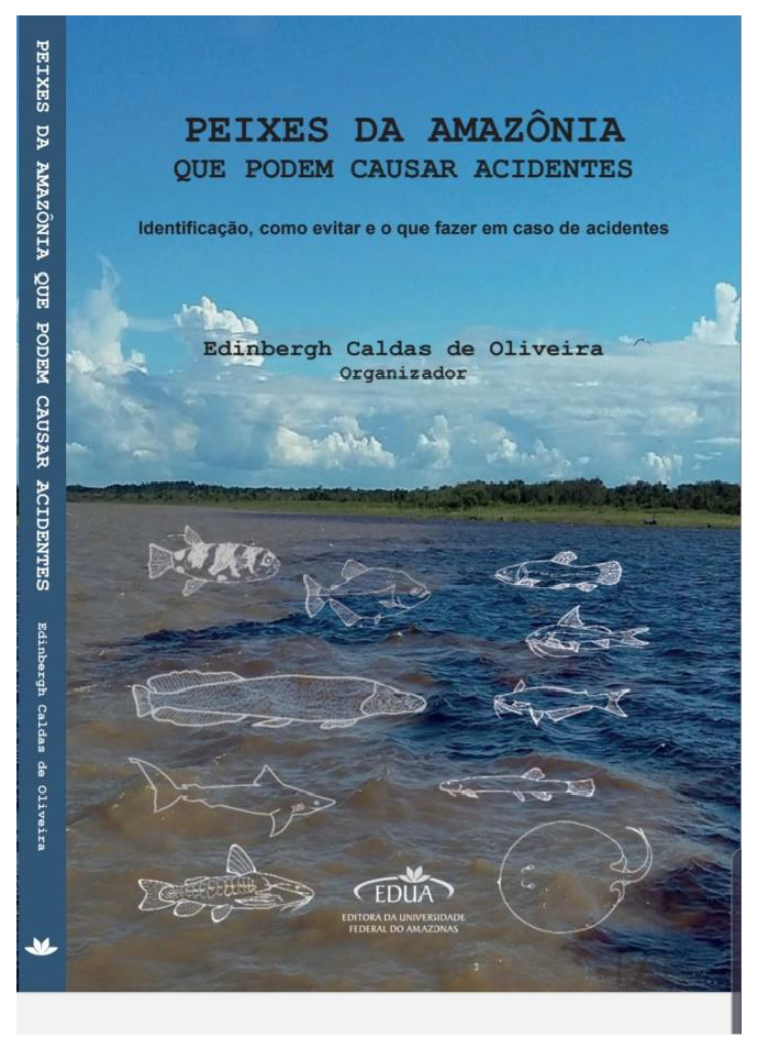 Peixes: Número de acidentes envolvendo piranhas e arraias estão se tornando cada vez mais frequentes nos locais frequentados por banhistas locais e visitantes -(Foto: Divulgação)